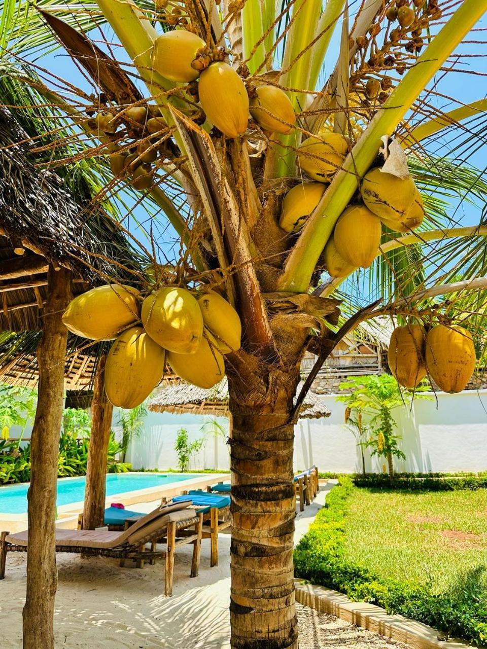 Lala Salama Kendwa Villas Exteriér fotografie