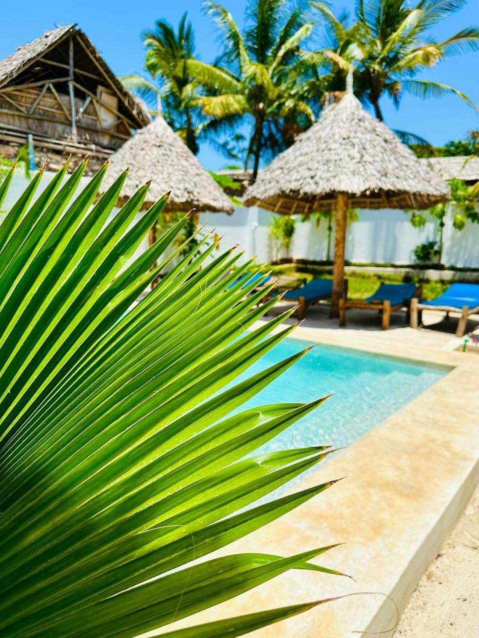 Lala Salama Kendwa Villas Exteriér fotografie