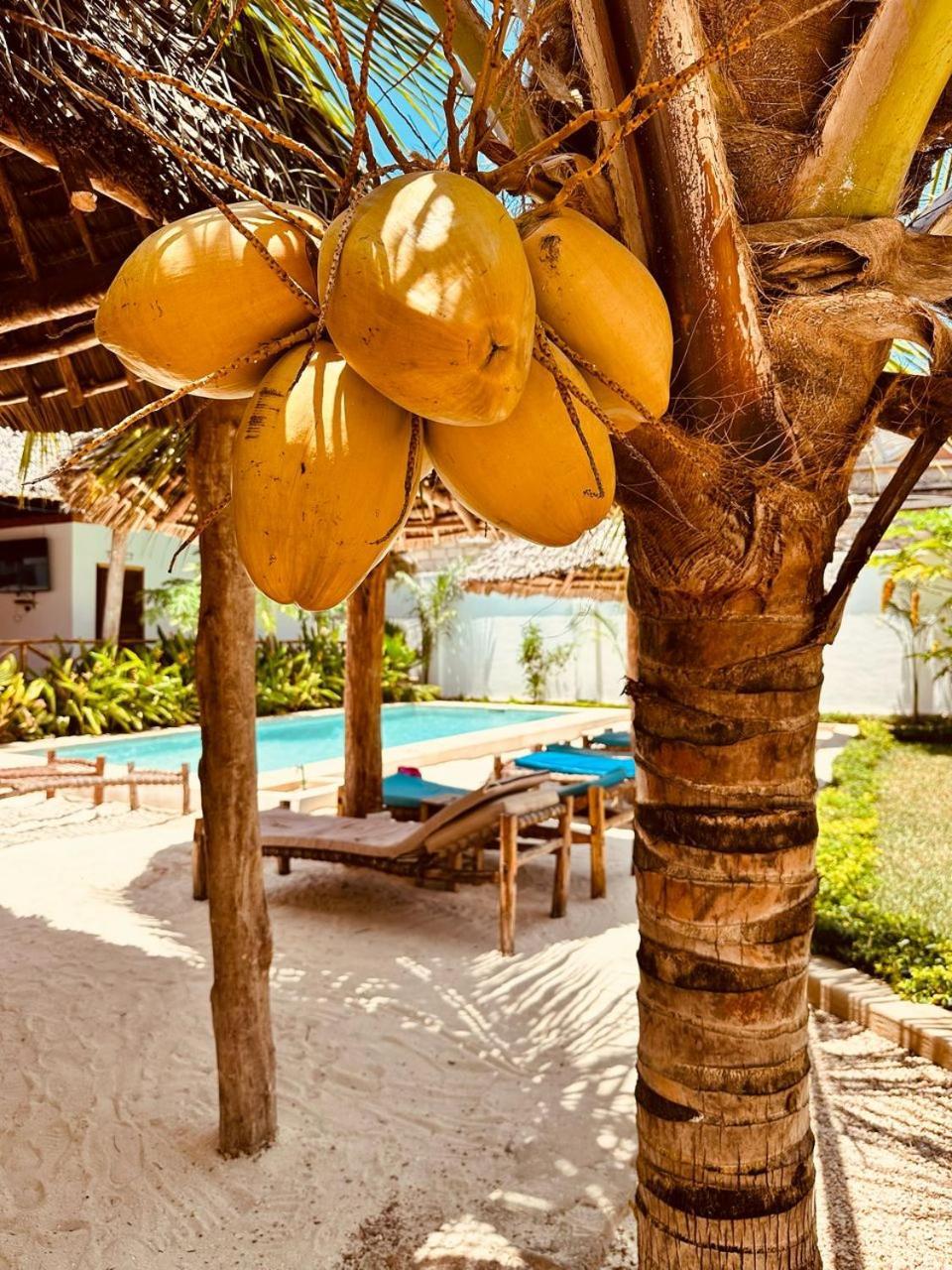 Lala Salama Kendwa Villas Exteriér fotografie